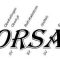 JSG Dorsa Logo